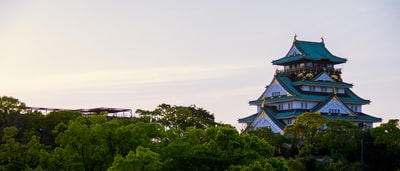 白色和灰色宝塔寺周围树木白天
